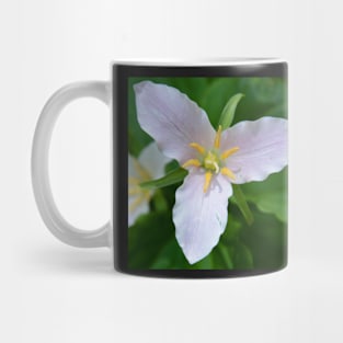 Easter Lily or Trillium Mug